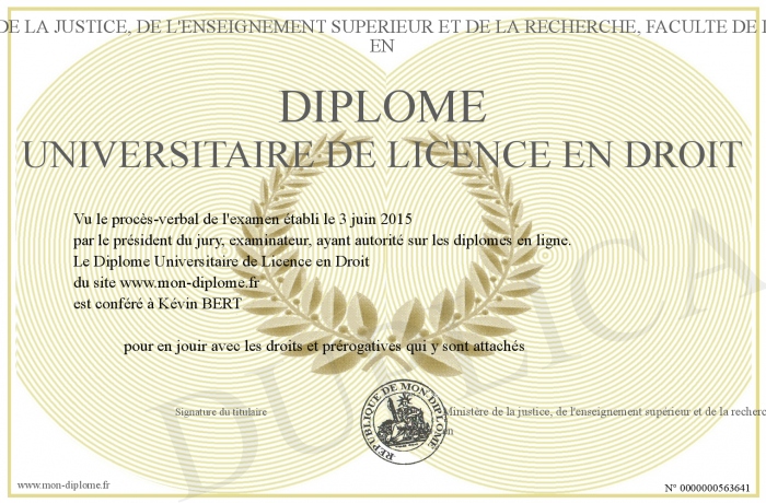 diplome universitaire de niveau superieur
